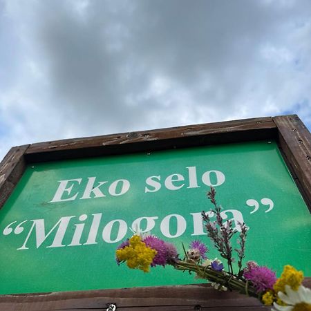 Etno selo - Guest House Etno Village - TRSA Plužine Eksteriør bilde
