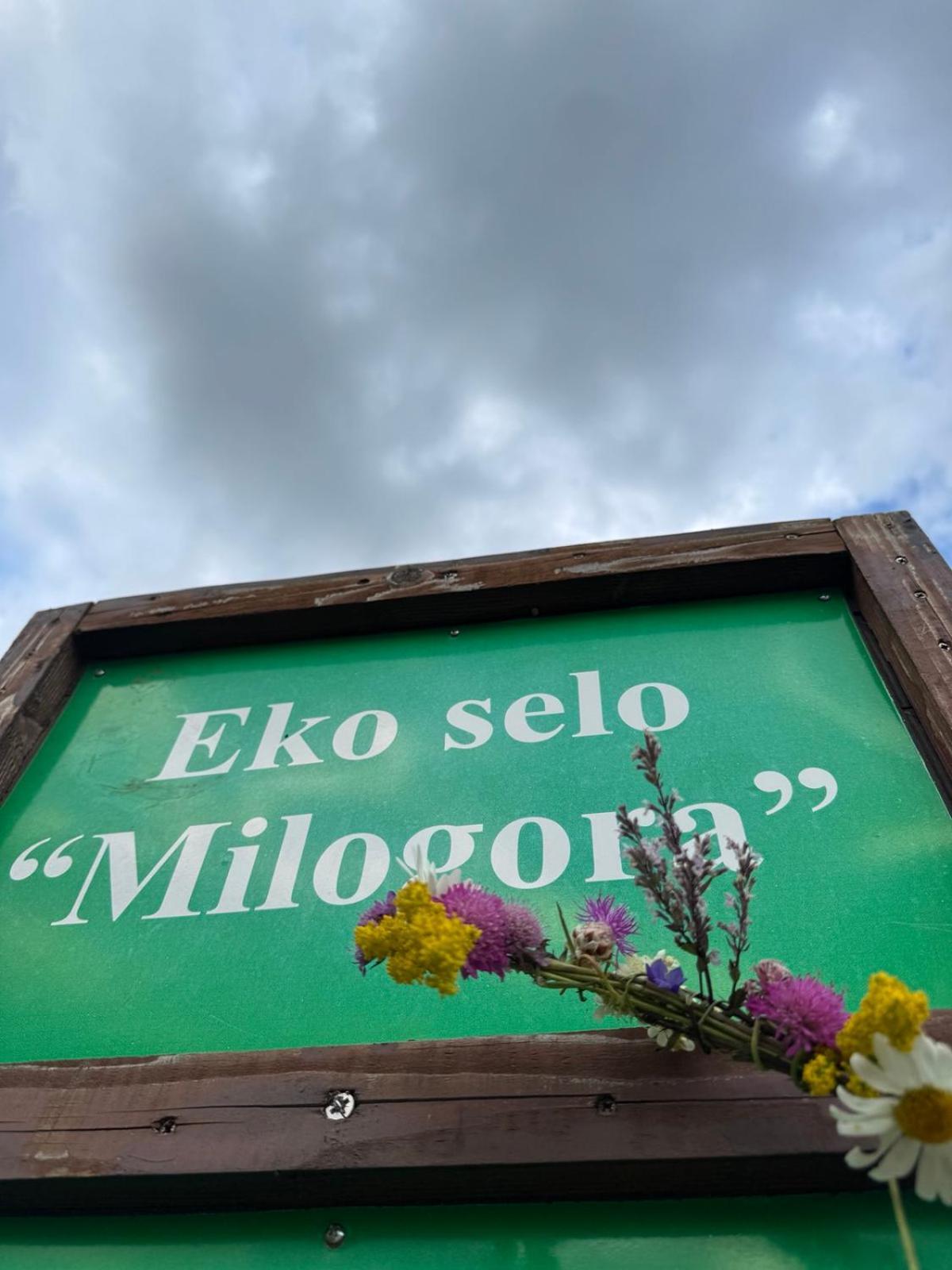 Etno selo - Guest House Etno Village - TRSA Plužine Eksteriør bilde